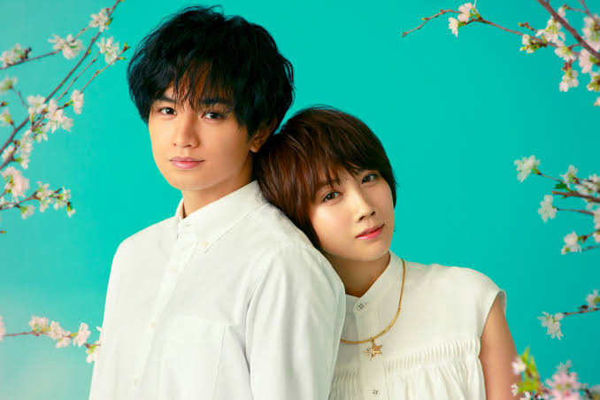 ミスチル 永遠 動画非公開理由はなぜ 桜のような僕の恋人主題歌 映画原作 Chika Neko Blog